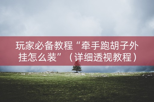 玩家必备教程“牵手跑胡子外挂怎么装”（详细透视教程）-哔哩哔哩