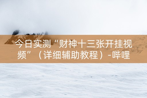今日实测“财神十三张开挂视频”（详细辅助教程）-哔哩哔哩