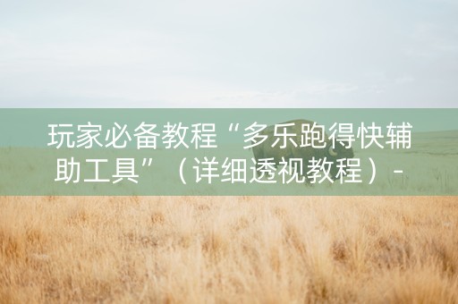 玩家必备教程“多乐跑得快辅助工具”（详细透视教程）-哔哩哔哩
