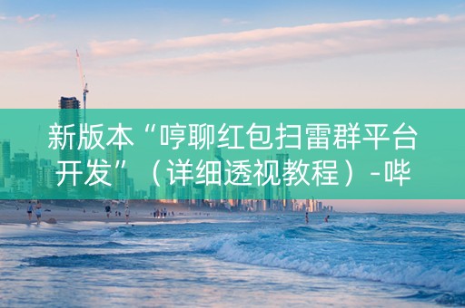 新版本“哼聊红包扫雷群平台开发”（详细透视教程）-哔哩哔哩