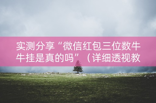 实测分享“微信红包三位数牛牛挂是真的吗”（详细透视教程）-哔哩哔哩