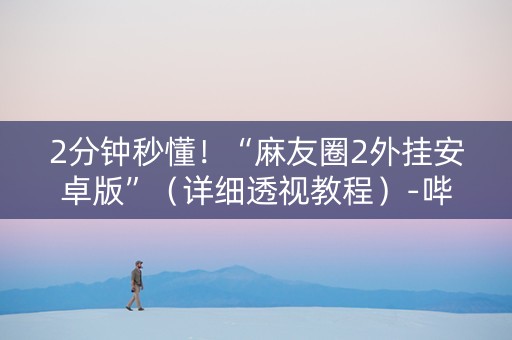 2分钟秒懂！“麻友圈2外挂安卓版”（详细透视教程）-哔哩哔哩
