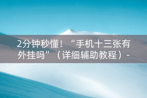 2分钟秒懂！“手机十三张有外挂吗”（详细辅助教程）-哔哩哔哩