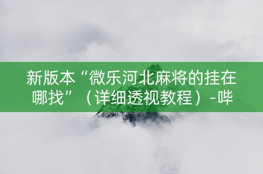 新版本“微乐河北麻将的挂在哪找”（详细透视教程）-哔哩哔哩