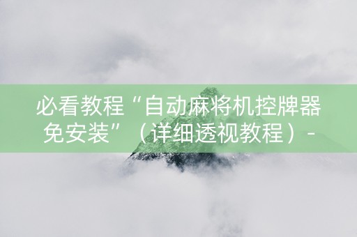 必看教程“自动麻将机控牌器免安装”（详细透视教程）-哔哩哔哩