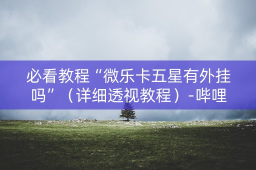 必看教程“微乐卡五星有外挂吗”（详细透视教程）-哔哩哔哩