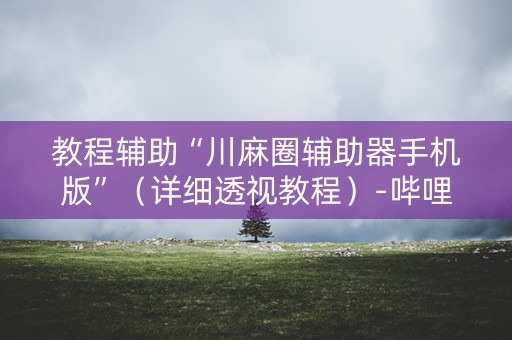 教程辅助“川麻圈辅助器手机版”（详细透视教程）-哔哩哔哩