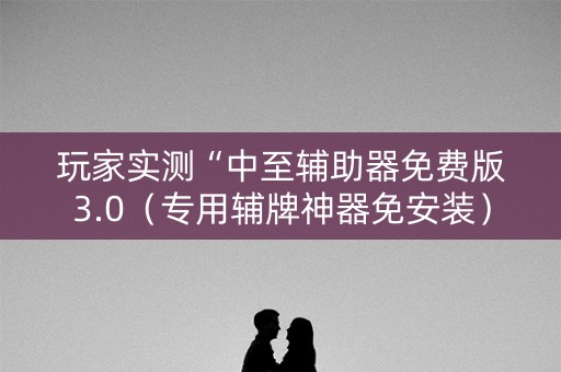 玩家实测“中至辅助器免费版3.0（专用辅牌神器免安装）