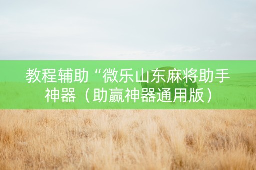 教程辅助“微乐山东麻将助手神器（助赢神器通用版）