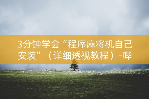 3分钟学会“程序麻将机自己安装”（详细透视教程）-哔哩哔哩
