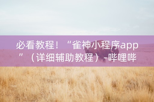 必看教程！“雀神小程序app”（详细辅助教程）-哔哩哔哩