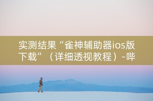 实测结果“雀神辅助器ios版下载”（详细透视教程）-哔哩哔哩