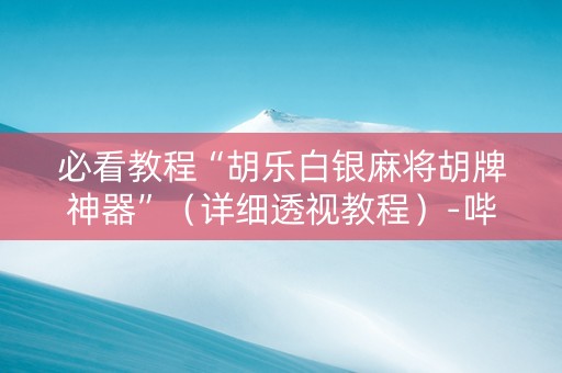 必看教程“胡乐白银麻将胡牌神器”（详细透视教程）-哔哩哔哩