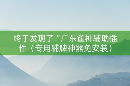 终于发现了“广东雀神辅助插件（专用辅牌神器免安装）