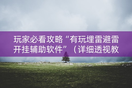 玩家必看攻略“有玩埋雷避雷开挂辅助软件”（详细透视教程）-哔哩哔哩