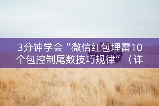 3分钟学会“微信红包埋雷10个包控制尾数技巧规律”（详细透视教程）-哔哩哔哩