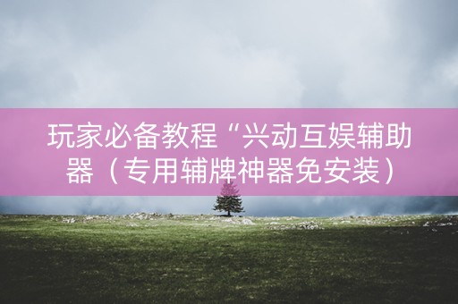 玩家必备教程“兴动互娱辅助器（专用辅牌神器免安装）