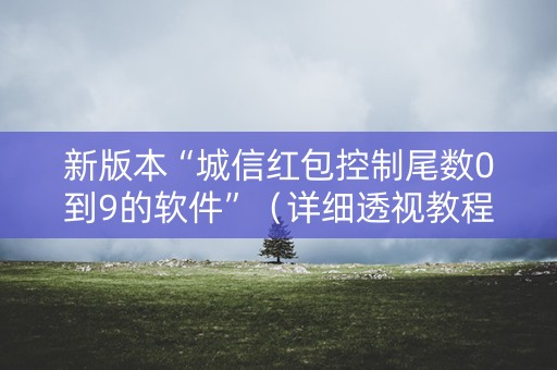 新版本“城信红包控制尾数0到9的软件”（详细透视教程）-哔哩哔哩