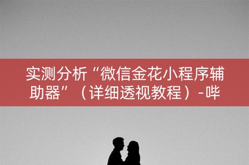 实测分析“微信金花小程序辅助器”（详细透视教程）-哔哩哔哩