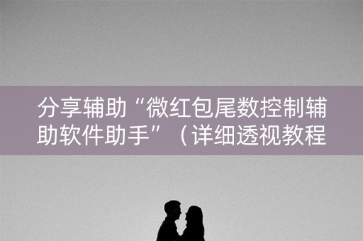 分享辅助“微红包尾数控制辅助软件助手”（详细透视教程）-哔哩哔哩