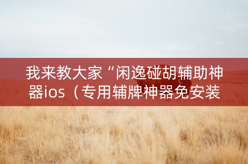 我来教大家“闲逸碰胡辅助神器ios（专用辅牌神器免安装）