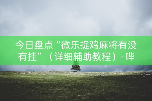 今日盘点“微乐捉鸡麻将有没有挂”（详细辅助教程）-哔哩哔哩