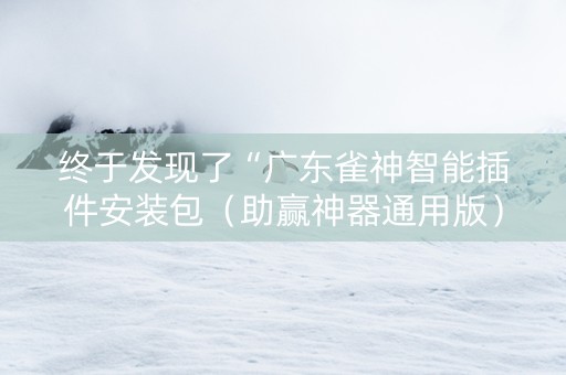 终于发现了“广东雀神智能插件安装包（助赢神器通用版）