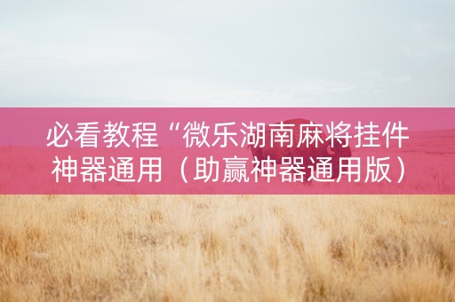 必看教程“微乐湖南麻将挂件神器通用（助赢神器通用版）