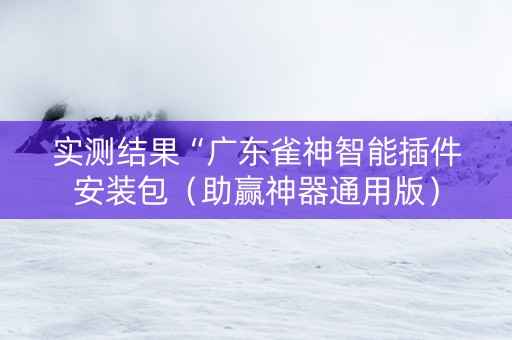 实测结果“广东雀神智能插件安装包（助赢神器通用版）