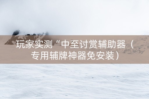 玩家实测“中至讨赏辅助器（专用辅牌神器免安装）