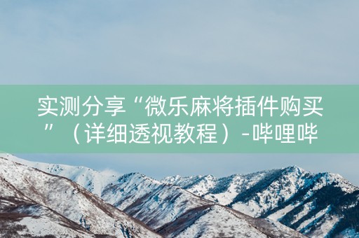 实测分享“微乐麻将插件购买”（详细透视教程）-哔哩哔哩
