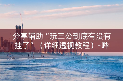 分享辅助“玩三公到底有没有挂了”（详细透视教程）-哔哩哔哩