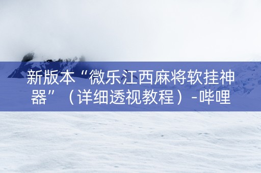新版本“微乐江西麻将软挂神器”（详细透视教程）-哔哩哔哩