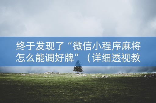 终于发现了“微信小程序麻将怎么能调好牌”（详细透视教程）-哔哩哔哩