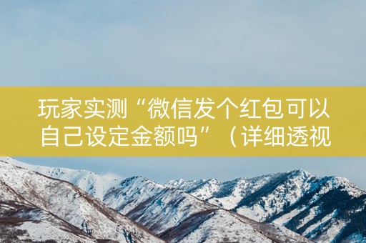 玩家实测“微信发个红包可以自己设定金额吗”（详细透视教程）-哔哩哔哩