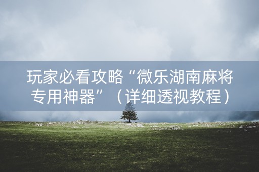 玩家必看攻略“微乐湖南麻将专用神器”（详细透视教程）-哔哩哔哩