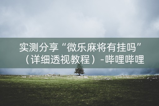 实测分享“微乐麻将有挂吗”（详细透视教程）-哔哩哔哩