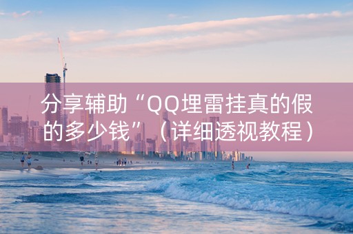 分享辅助“QQ埋雷挂真的假的多少钱”（详细透视教程）-哔哩哔哩