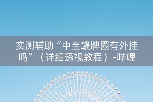 实测辅助“中至赣牌圈有外挂吗”（详细透视教程）-哔哩哔哩