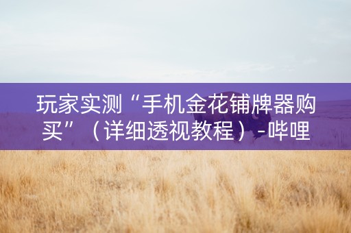 玩家实测“手机金花铺牌器购买”（详细透视教程）-哔哩哔哩