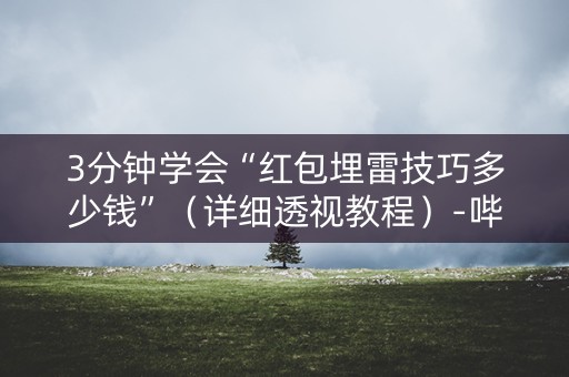 3分钟学会“红包埋雷技巧多少钱”（详细透视教程）-哔哩哔哩