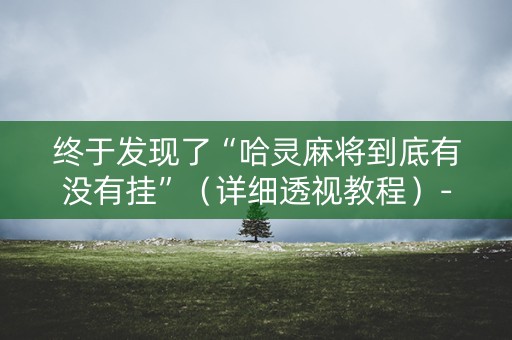 终于发现了“哈灵麻将到底有没有挂”（详细透视教程）-哔哩哔哩
