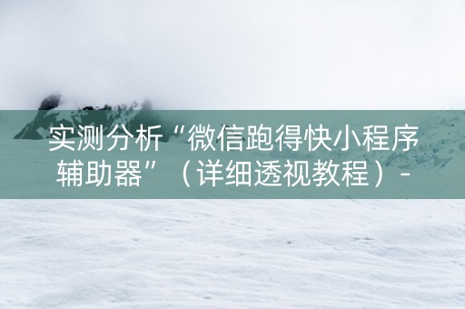 实测分析“微信跑得快小程序辅助器”（详细透视教程）-哔哩哔哩