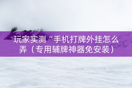 玩家实测“手机打牌外挂怎么弄（专用辅牌神器免安装）
