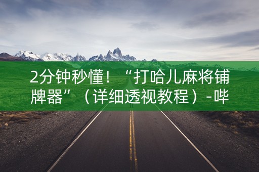 2分钟秒懂！“打哈儿麻将铺牌器”（详细透视教程）-哔哩哔哩