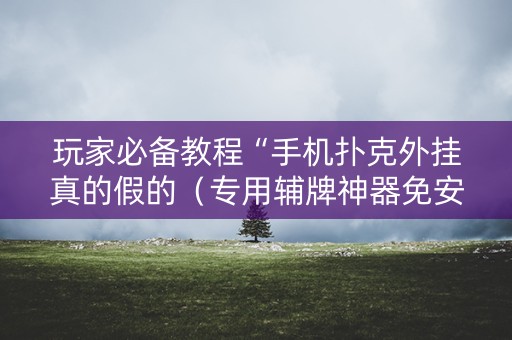 玩家必备教程“手机扑克外挂真的假的（专用辅牌神器免安装）