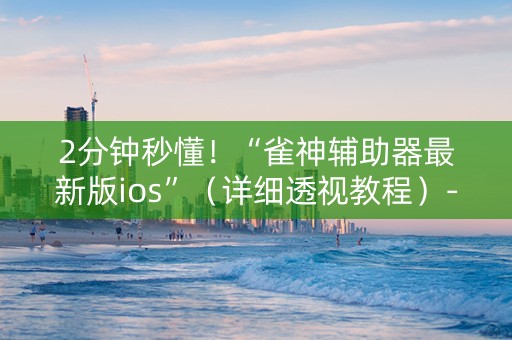 2分钟秒懂！“雀神辅助器最新版ios”（详细透视教程）-哔哩哔哩