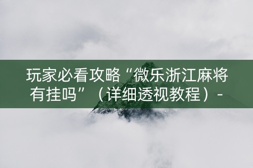 玩家必看攻略“微乐浙江麻将有挂吗”（详细透视教程）-哔哩哔哩