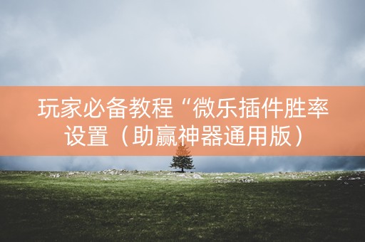 玩家必备教程“微乐插件胜率设置（助赢神器通用版）