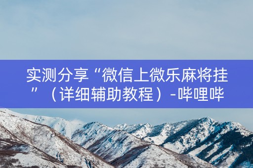 实测分享“微信上微乐麻将挂”（详细辅助教程）-哔哩哔哩